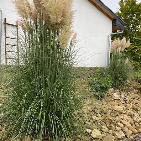 Casa vacanze Naturblick
