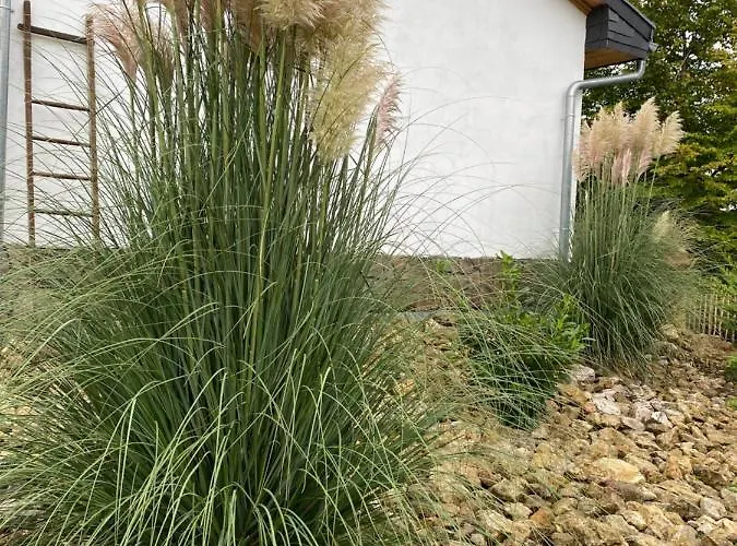 Tatil Evi Naturblick